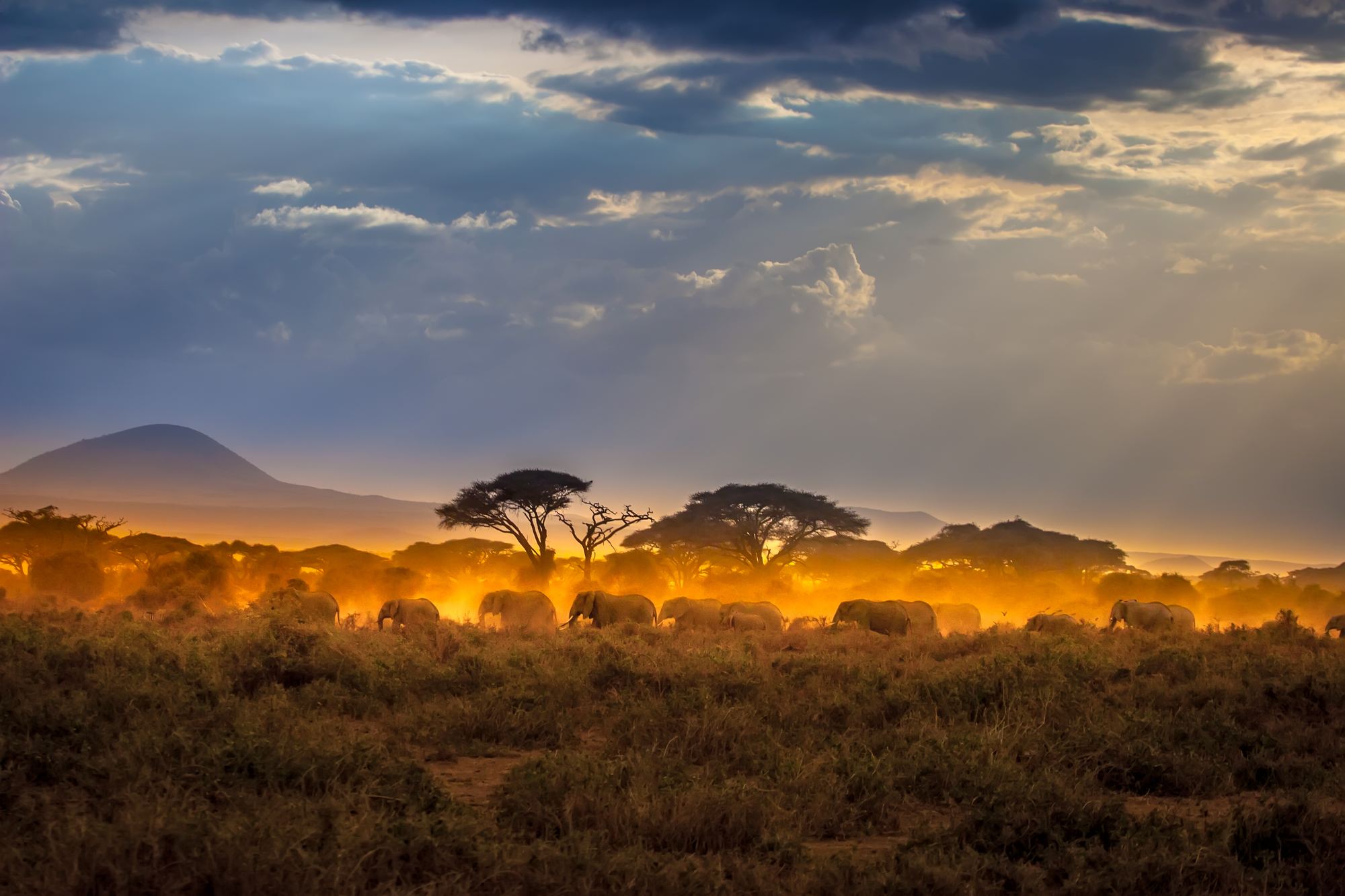 Landscape photo